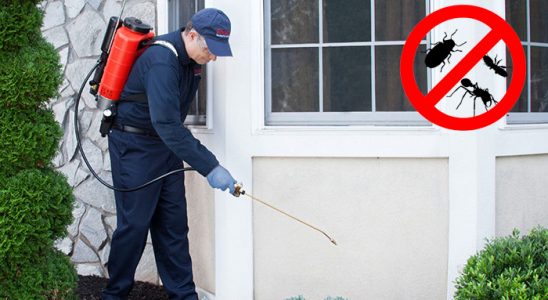 İnciraltı Böcek İlaçlama böcek ilaçlama ve haşere kontrolü — ilaclama-tr.com